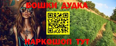 прущий лед Кингисепп
