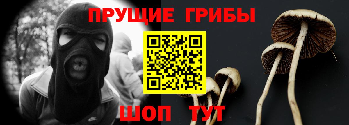 Галлюциногенные грибы ЛСД  Вход с VPN  Киселёвск  Псилоцибиновые грибы MAGIC MUSHROOMS 